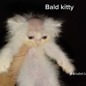 Meet your Posher, Erick